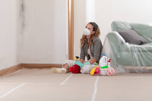 Reliable Mold Removal contractor in Haw River, NC by WQB Mold Removal